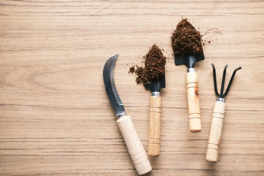 Real photograph of garden tools and soil on a wooden table